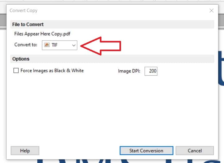 The Convert menu includes a drop-down menu to select the conversion format